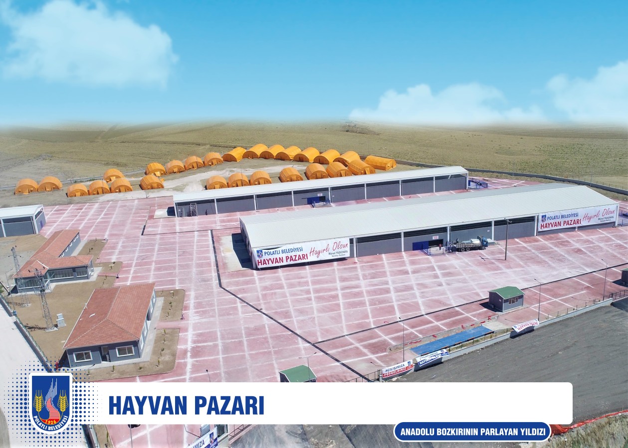 HAYVAN PAZARI